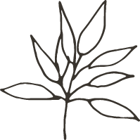 植物のイラスト